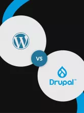 wp drupal