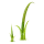 twig